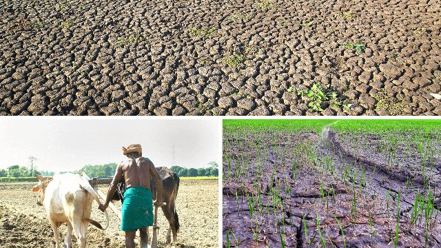 National Farmers Day: Honouring India’s Farmers National Farmers Day