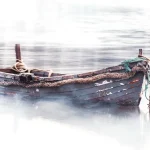 5200 Year-Old Ancient North American Boat