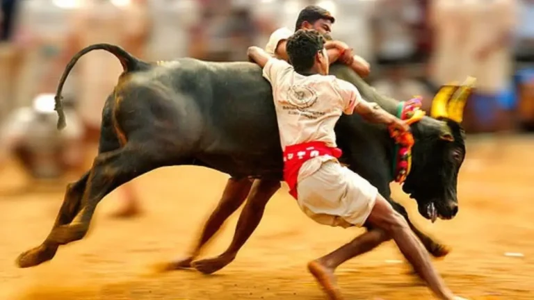First Jallikattu 2026 Approved