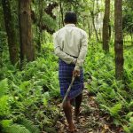 Forest Rights Act at 20