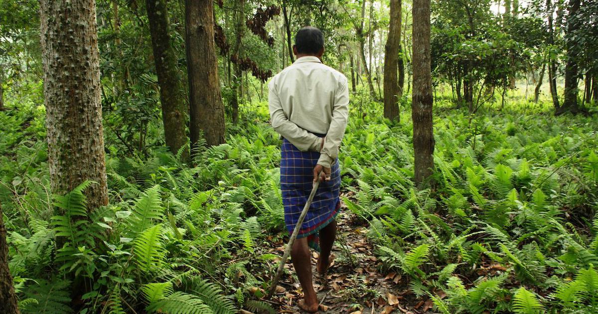 Forest Rights Act at 20