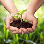 ICAR Releases Improved Crop Varieties
