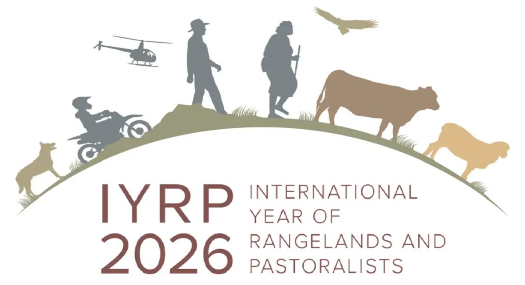International Year for Rangelands