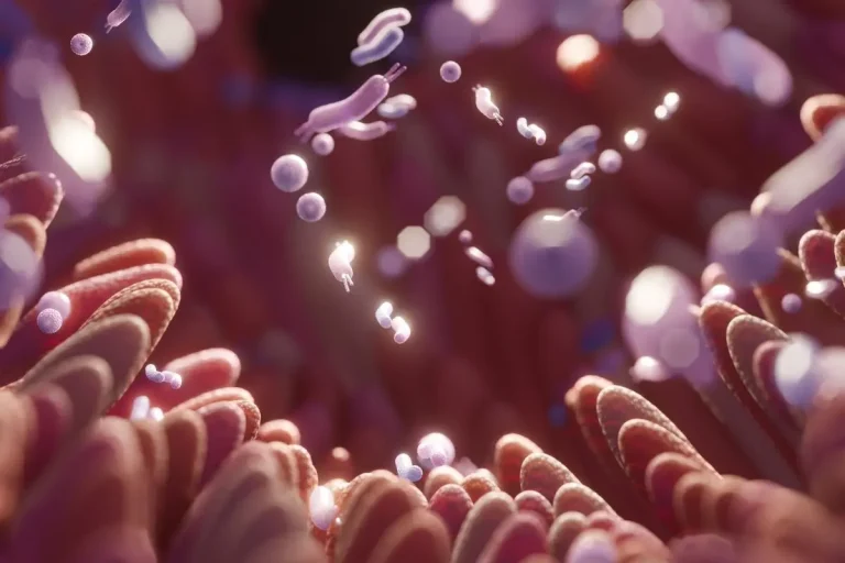 Kerala Names Bacillus subtilis State Microbe