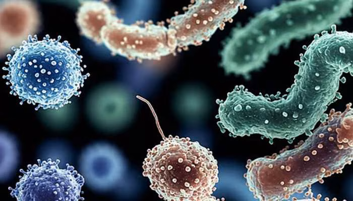 Kerala Names Bacillus subtilis State Microbe to Boost Science and Innovation Kerala Names Bacillus subtilis State Microbe