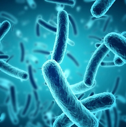 Kerala Names Bacillus subtilis State Microbe to Boost Science and Innovation Kerala Names Bacillus subtilis State Microbe
