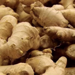 Mizoram Govt Ginger & Broomstick Scheme