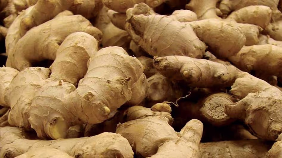 Mizoram Govt Ginger & Broomstick Scheme