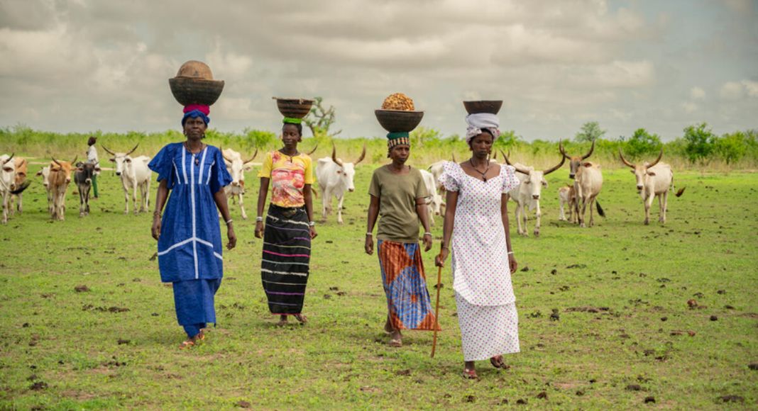 International Year for Rangelands