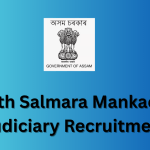 South Salmara Mankachar Judiciary