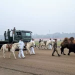 Republic Day Parade