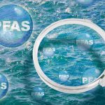 Rice PFAS Cleanup Breakthrough