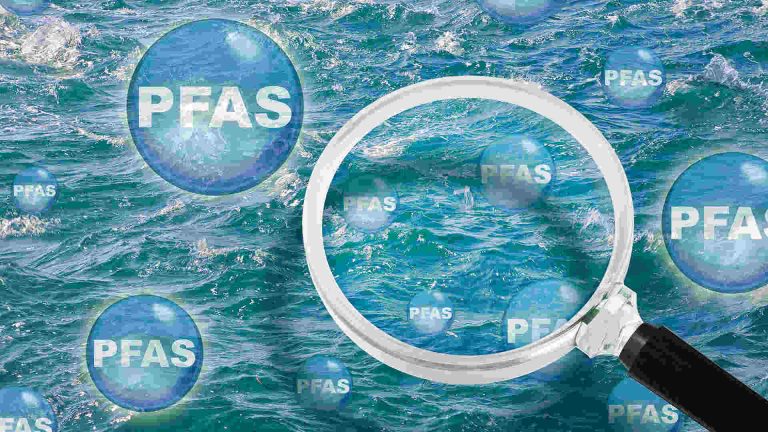 Rice PFAS Cleanup Breakthrough