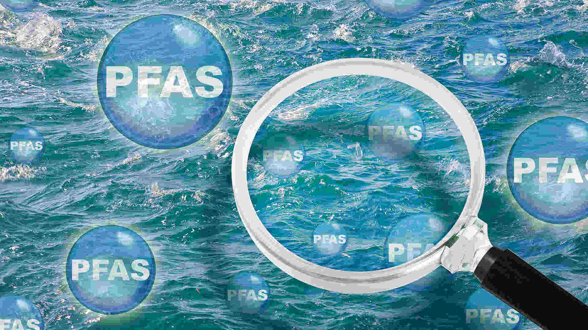 Rice PFAS Cleanup Breakthrough