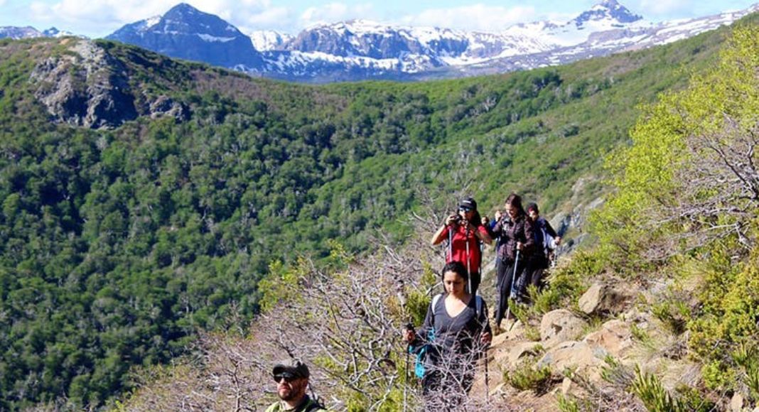 New Ginger Species Found in the Forests of Arunachal Pradesh New Ginger Species