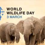 World Wildlife Day