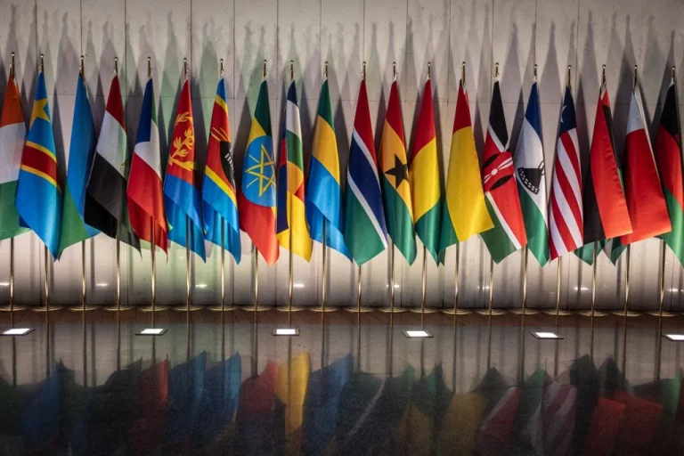 AU Youth Legitimacy Crisis