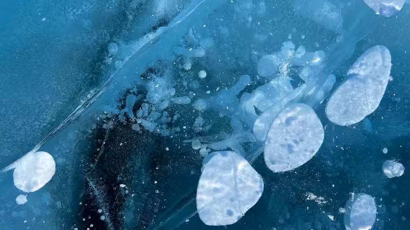 Ancient Ice Bacterium Resistance: A 5,000-Year-Old Microbe Challenges Modern Medicine Ancient Ice Bacterium Resistance