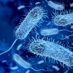 Ancient Ice Bacterium Resistance