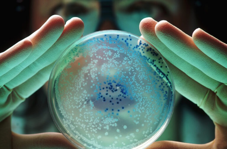 Ancient Ice Bacterium Resistance: A 5,000-Year-Old Microbe Challenges Modern Medicine Ancient Ice Bacterium Resistance