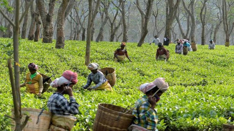 Assam 3% Quota