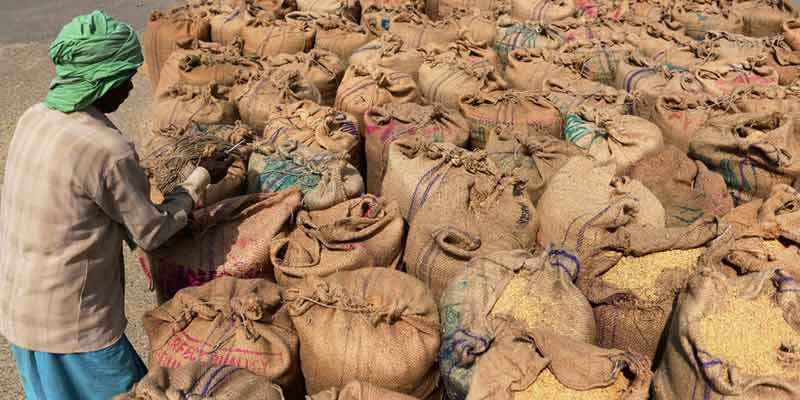 Balaghat Grain Pilot