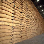 Balaghat Grain Pilot