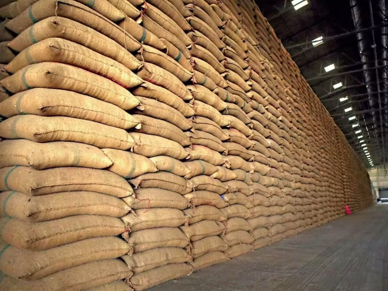 Balaghat Grain Pilot