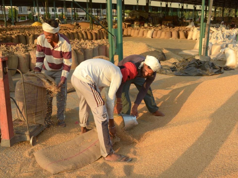 Balaghat Grain Pilot