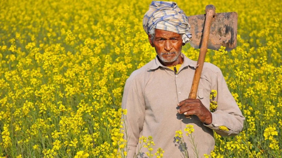 Bhavantar Yojana Mustard
