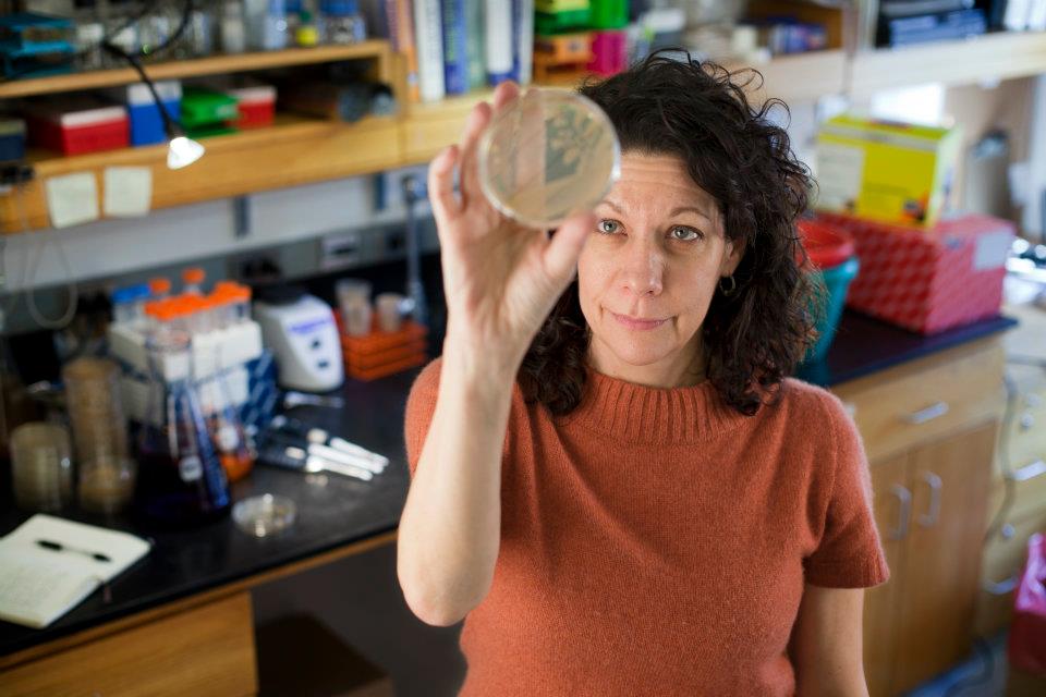 Bonnie Bassler Explains Bacterial Communication Bonnie Bassler
