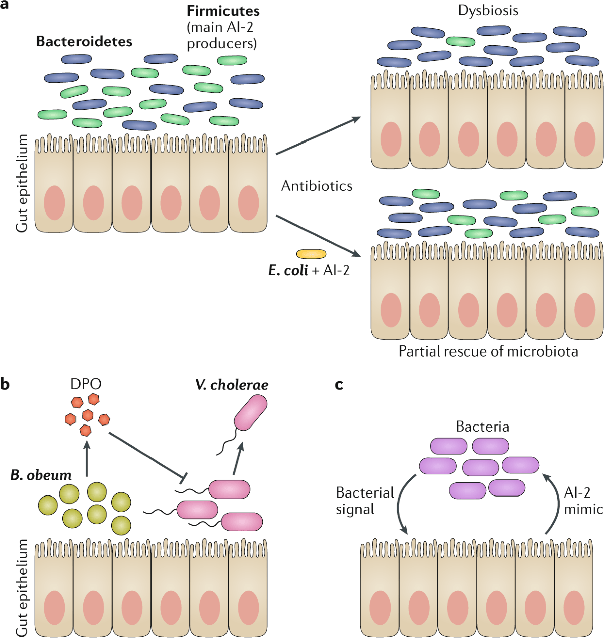 Bonnie Bassler Explains Bacterial Communication Bonnie Bassler