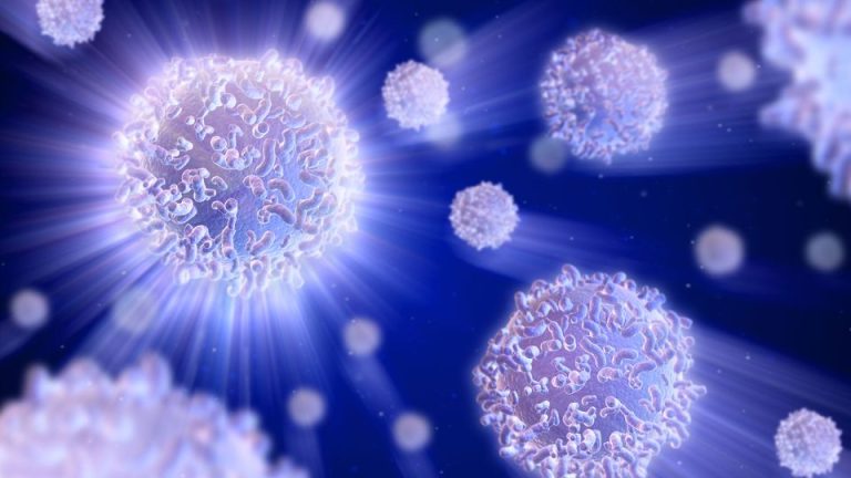 Cancer Reprogrammes Immunity