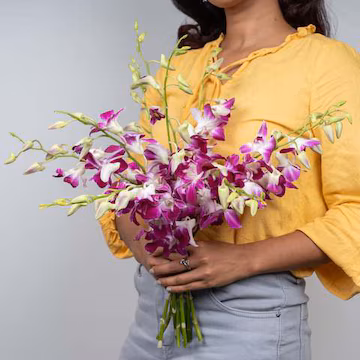 Diplozentrum Orchid Discovery in Idukki