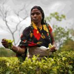 Eti Koli Duti Paat Scheme