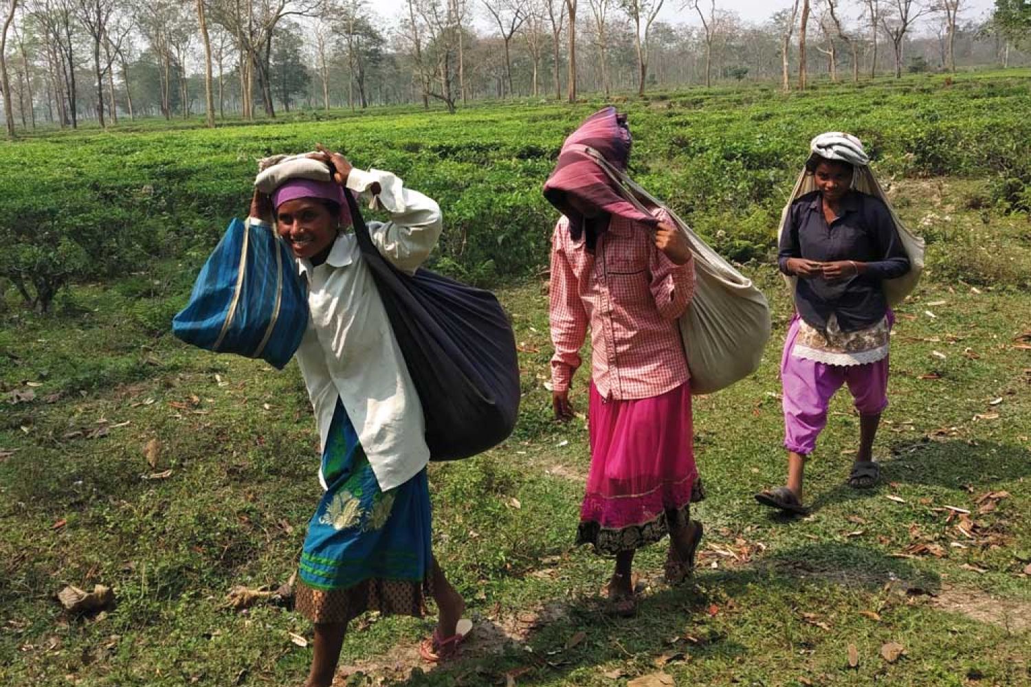 Eti Koli Duti Paat Scheme