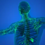 IGF Breakthrough for Lymphedema