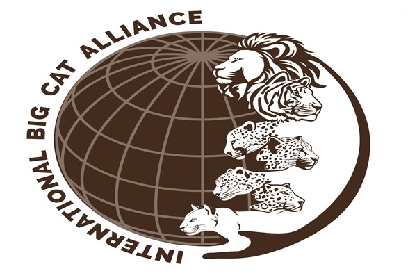India Global Big Cats Summit
