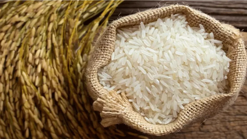 India Rice Agreement with WFP Strengthens Food Aid AAU Jorhat Faculty Recruitment India Rice Agreement with WFP