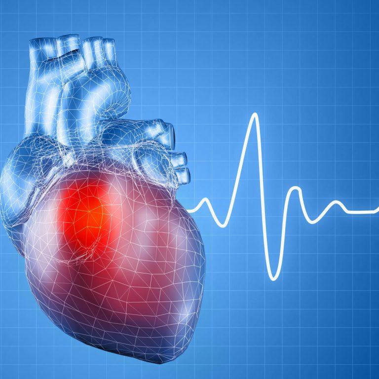 Indian Low-Cost Heart Attack Biosensor