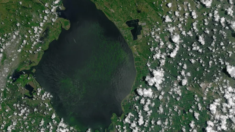 Lake Victoria Toxic Green Crisis