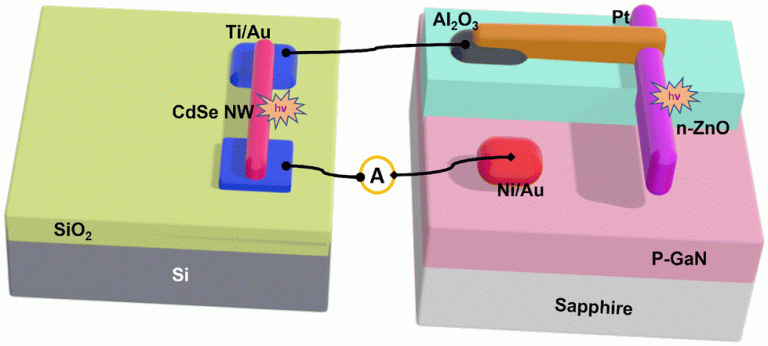 Lead-Free Photodetector