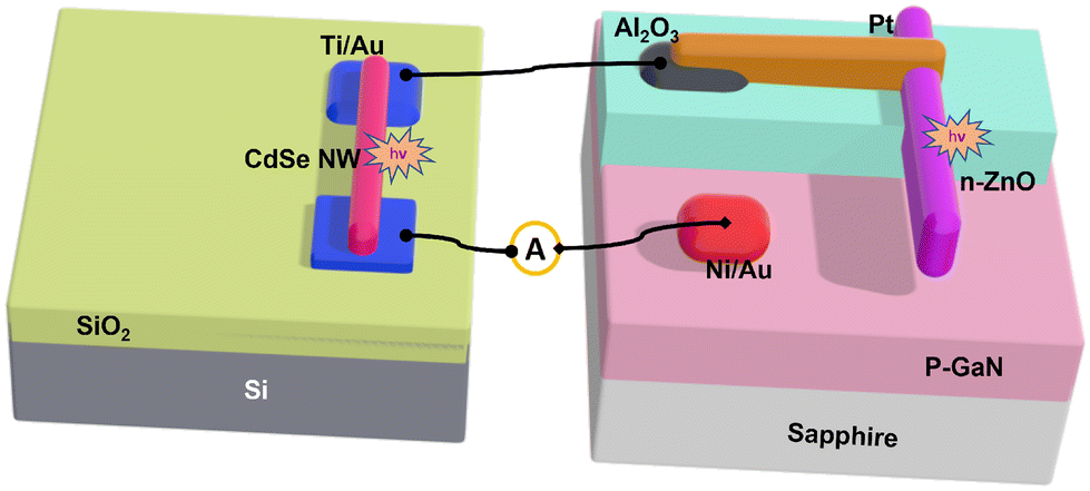 Lead-Free Photodetector