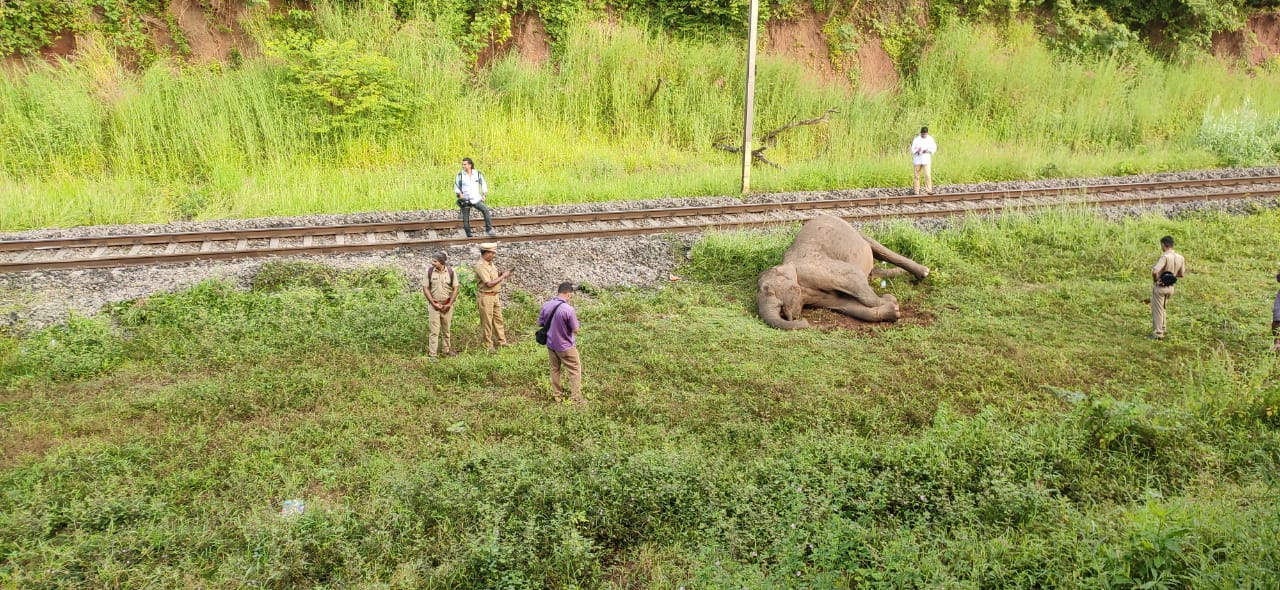 Railways AI for Elephants