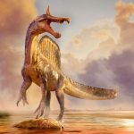 Sahara Spinosaurus Discovery