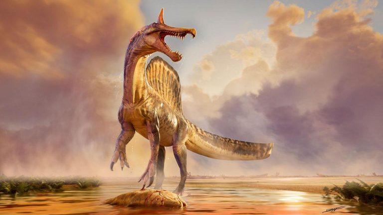 Sahara Spinosaurus Discovery