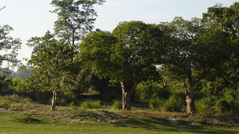 Shettihalli Sanctuary Boundary Review