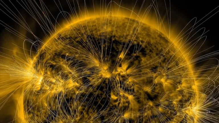 Sun Magnetic Fields Reconstruction