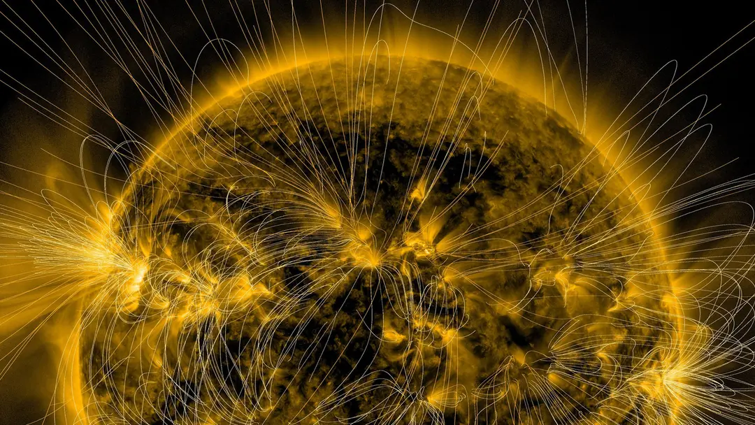 Sun Magnetic Fields Reconstruction