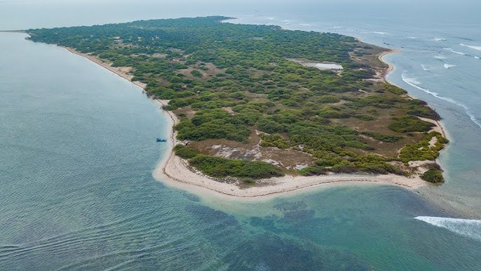 Vaan Island Restoration Benefits